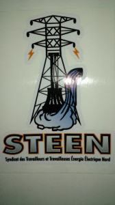 Logo STEEN